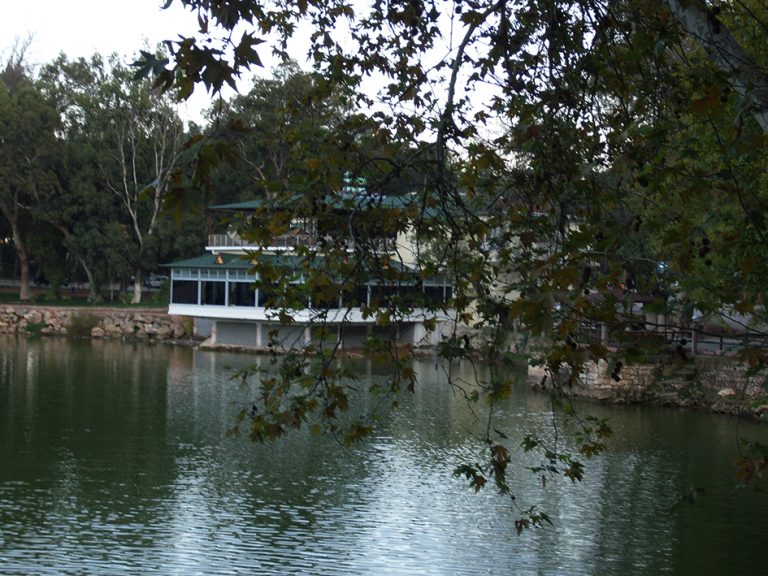 Reyhanlı’nın Göz Bebeği Yenişehir Gölünde Çınar Ağacı İle Sohbet.