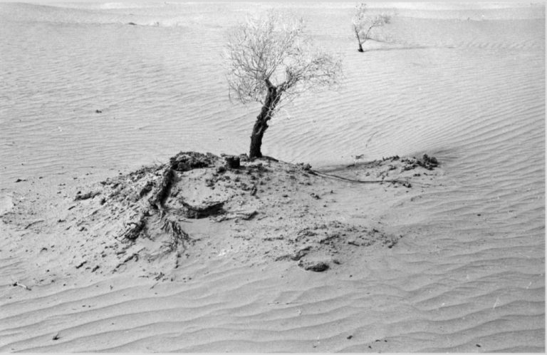 İpek Yolu’nda ve Zamanda Geriye Yolculuk